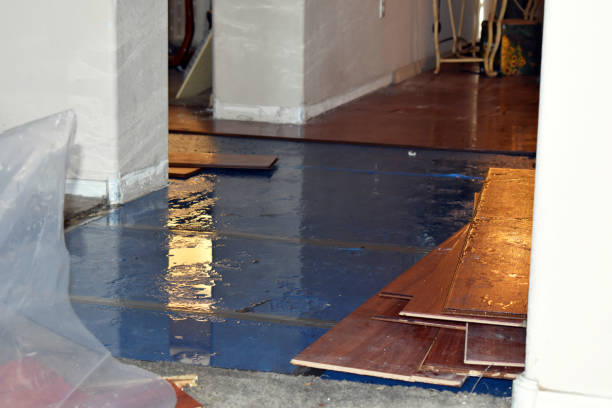 Professional Water Damage Restoration technician working in Demarest, NJ